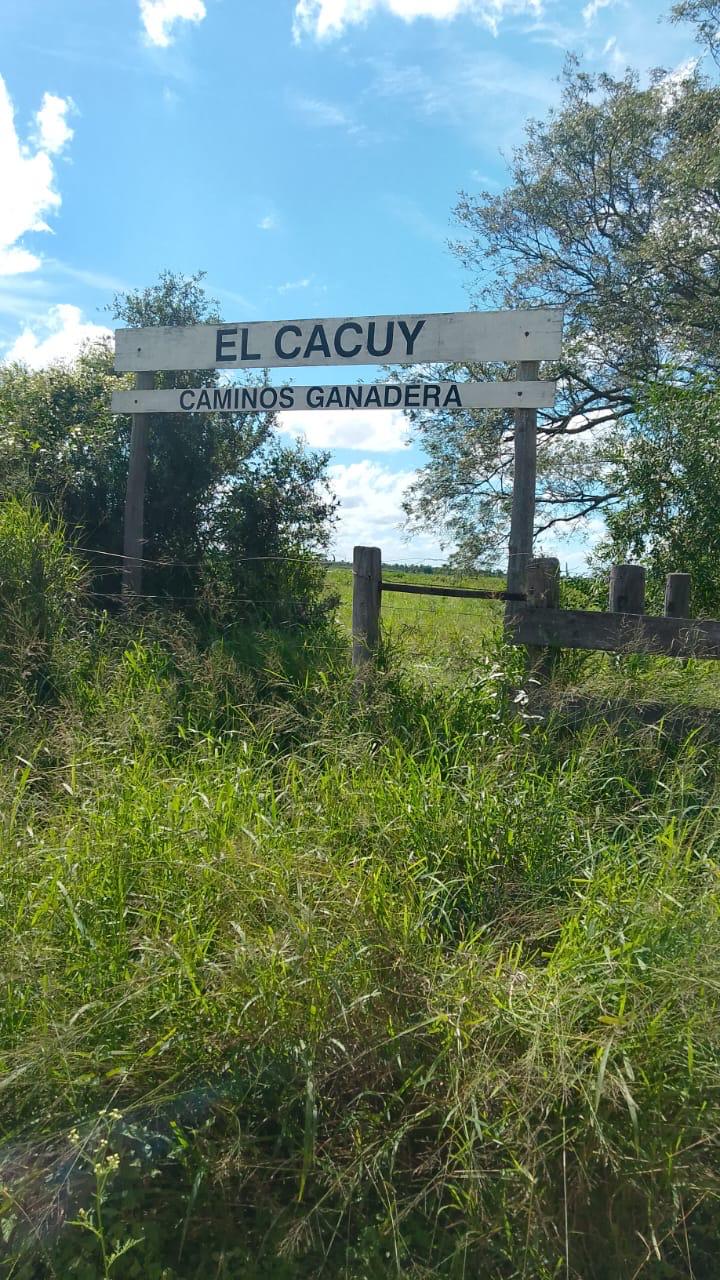 El Cacuy - Imagen